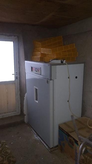 İnkubatorlar: Tam avtomat — 3