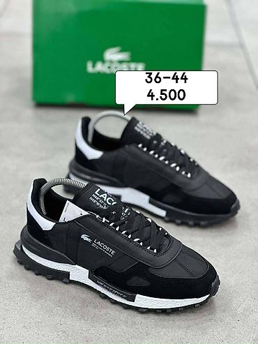 Patike: Tommy,bosa,Lacoste brojevi i cena ispisana na slikama — 4