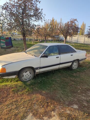 дом на колесах купить бу: Audi 100: 1989 г., Механика, Бензин, Седан