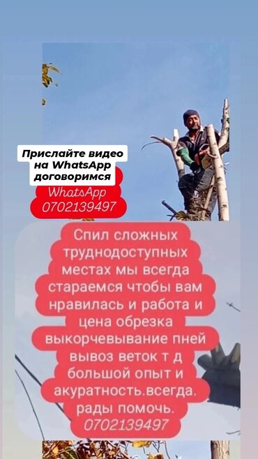 Спил деревьев, заготовка дров: Услуги по спилу и уходу за деревьями. - Спил деревьев в сложных и