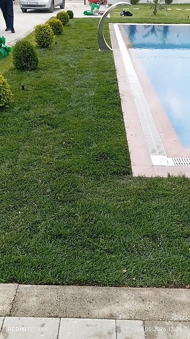 Torf: Təbbi qazon danimarka enli yarpaq çatrlma xidməti,qurasdrma cidmeti — 16