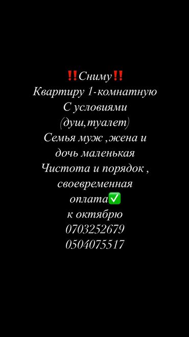 аламедин 1 с подселением: 1 комната, 40 м², С мебелью