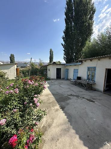 Долгосрочная аренда квартир: 6 комнат и более, С мебелью полностью — 14