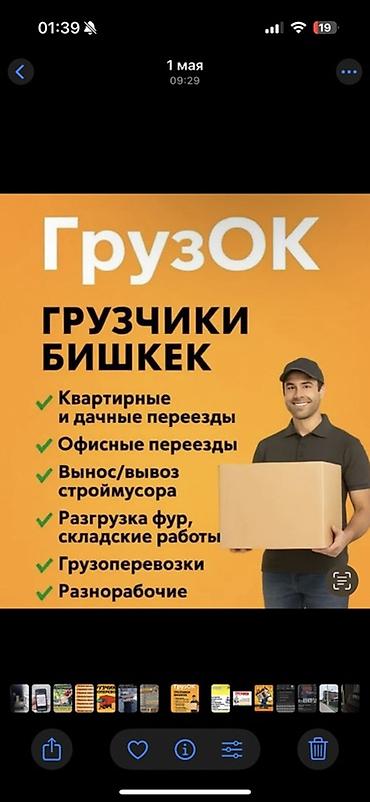 Майда шашылыш иштер: Жүк ташуучу. 6 жылдан ашык тажрыйба — 1
