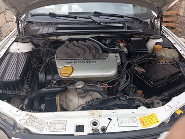 Opel: Opel Vectra: 1.6 l | 1996 il | 494200 km Hetçbek