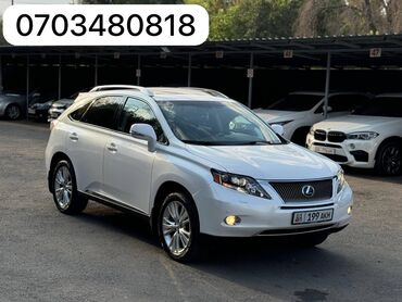 на ленд крузер: Lexus RX: 2009 г., 3.5 л, Автомат, Гибрид, Внедорожник