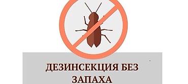 талоны: Дезинфекция, дезинсекция, | Муравьи, Блохи, Вирусы, микробы, | Кафе, магазины, Квартиры, Подъезды — 5