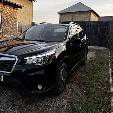 4wd 20132020: Subaru Forester: 2020 г., Кроссовер — 3