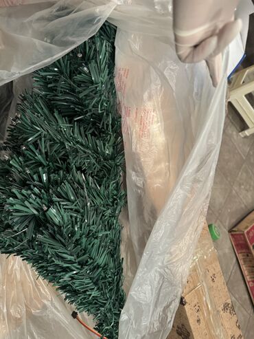 2021 yolka: 60 sm yolka agaci baglanib deye aca bilmedim. qurulmalidi. real