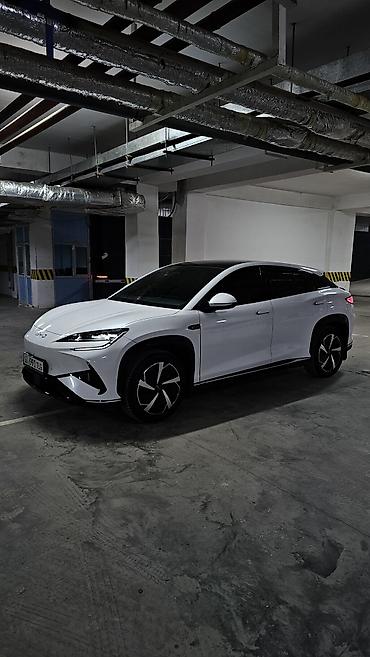 вас 07: BYD Sea Lion 07: 2024 г., Фастбек — 2