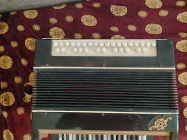 Sintezatorlar: Akustik Akkordeon, İşlənmiş, Pulsuz çatdırılma