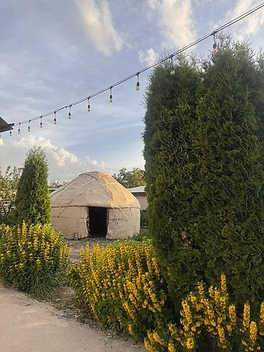 Хостелы: 🏡 Караколдо эс алуу үчүн идеалдуу жер издеп жатасызбы? Биздин конок — 9