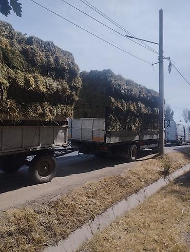 бесплатная кошка ош: Продаю Сено разнотравье клевер тюки оптом с доставкой цена за тюк — 3