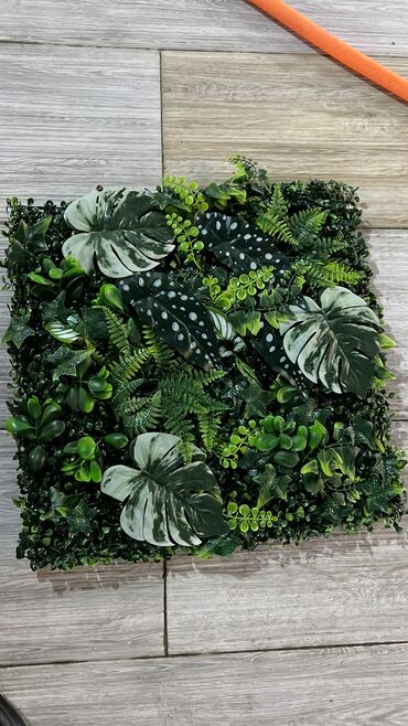 Digər ev dekoru: Kv 25 azn baslayan yasil dekorlar
Her olcude hazrlanr 
Depodan satis — 24