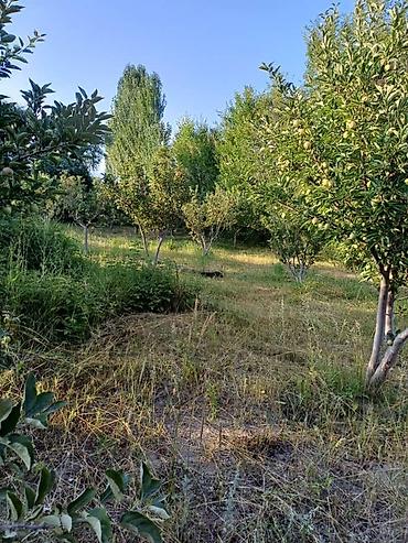 Продажа коттеджей и домов: Дом на Иссык-Куле!!! Продается просторный дом на участке 36 сотых at lalafo.kg — 28 Продажа коттеджей и домов: Дом на Иссык-Куле!!! Продается просторный дом на участке 36 сотых — 28