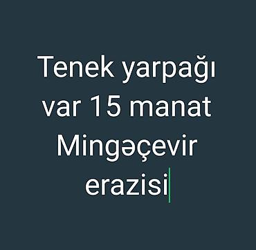 toyuq məhsullari: Mingəçevir ərazisində tenək yarpağı satılır. Qiymət: 15 manat. - — 1