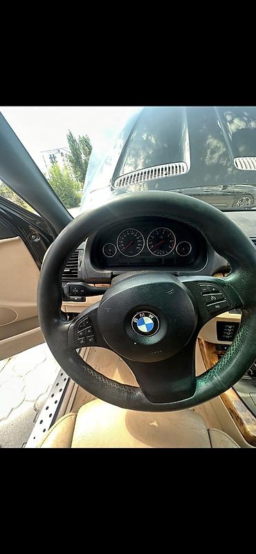 рендж: BMW X5: 2005 г., 4.6 л, Автомат, Бензин, Внедорожник — 3