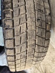 зимние шины на грузовые автомобили: Шины 215 / 70 / R 16, Зима, Китай, Dunlop