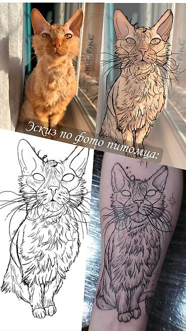 растяжки: Цветные татуировки, Черно-белые татуировки, Коррекция татуировок | Консультация — 7