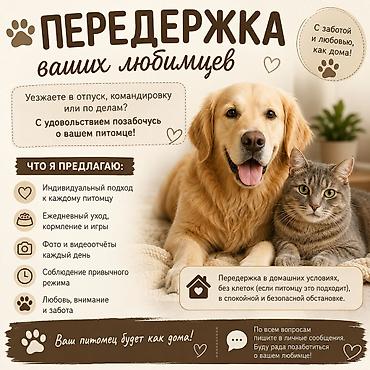 собаки хаски цена: ПЕРЕДЕРЖКА домашних питомцев С заботой и любовью, как дома! Бережно — 1