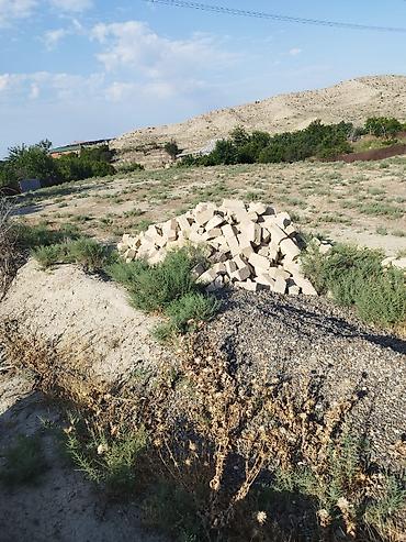 visnofkada torpaq: 6 sot, Tikinti, Mülkiyyətçi, Kupça (Çıxarış) — 6