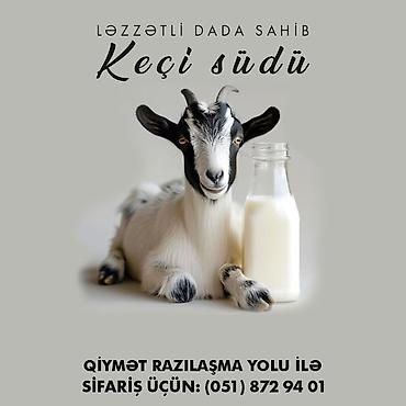 su satışı: Keçi südü satlılır. Ünvandan götürmə. Ünvan Novxanı Qiymət: Razılaşma — 1