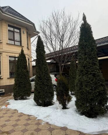 участок в ороке: Үй, 200 кв. м, 5 бөлмө, Риелтор, Евро оңдоо