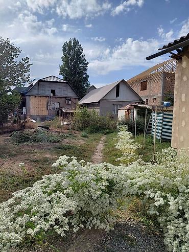 мурат ордо: 5 соток, Красная книга — 1