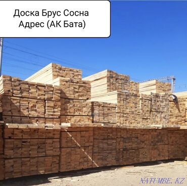 продаю участок ак бата: Лес Сосна Оптовая и Розница Адрес авъездной АК Бата Тел () 24/7