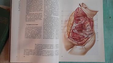 Digər kitablar və jurnallar: Продам книгу "Хирургическая анатомия конечности человека" Москва 1983 -da lalafo.az — 7 Digər kitablar və jurnallar: Продам книгу "Хирургическая анатомия конечности человека" Москва 1983 — 7