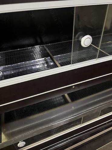 Зоотовары: Брудер для цыплят для перепелов размер 1м в длину 50см глубина высота — 9