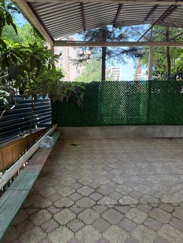 Digər ev dekoru: 5 man baslayan qiymetler Minumal qiymetler topdan ve perakenden satis -da lalafo.az — 5 Digər ev dekoru: 5 man baslayan qiymetler Minumal qiymetler topdan ve perakenden satis — 5