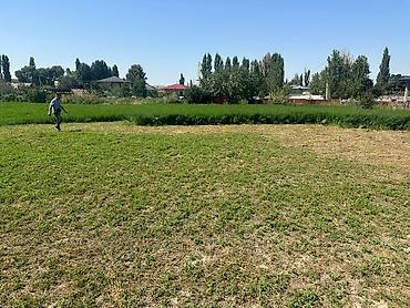 Продажа участков: 20 соток, Для бизнеса, Красная книга — 4