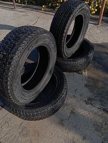 толщиномер etari et 700 max: Зимние шины Goodyear/Dunlop Winter Maxx - Размер: 225/65 R17 - Индекс — 5