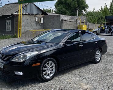 финик машина: Lexus ES: 2002 г., 3 л, Автомат, Газ, Седан