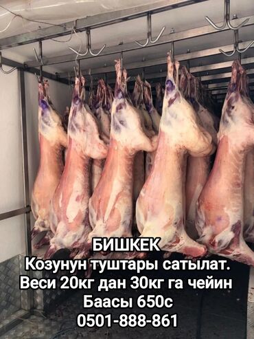 печенье станок: Баранина : Голень, Кости, Курдюк, Более 10 кг, Самовывоз, Платная доставка