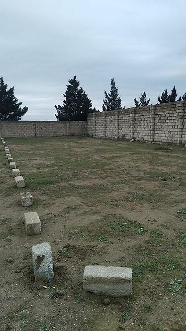7 sot, Kənd təsərrüfatı, Makler, Kupça (Çıxarış)