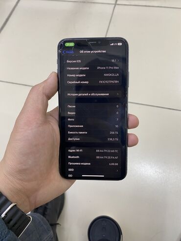 Apple iPhone: IPhone 11 Pro Max, Б/у, 256 ГБ, Зеленый, Защитное стекло, Чехол, 77 %