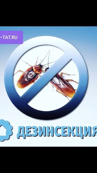 средство от клопов бишкек in Кыргызстан | УХОД ЗА ТЕЛОМ: Дезинфекция, дезинсекция | Клопы, Блохи, Тараканы | Транспорт, Офисы, Квартиры