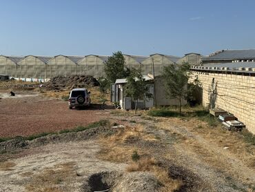 Torpaq sahələrinin satışı: 30 sot, Kənd təsərrüfatı -da lalafo.az — 3 Torpaq sahələrinin satışı: 30 sot, Kənd təsərrüfatı — 3