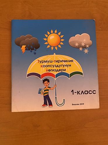 Математика: Учебники: 1) Математика. 3 класс. Учусь учиться. Л.Г. Петерсон — — 17
