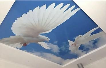 Натяжной потолок: Натяжной потолок 3D потолки Монтаж — 5