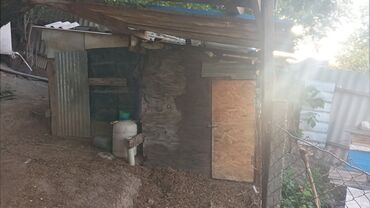 Həyət evləri və villaların satışı: 2 otaqlı, 50 kv. m — 5