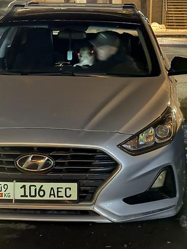 Курьерская доставка: Услуга курьерской доставки по городу через приложение. - Быстрая — 76