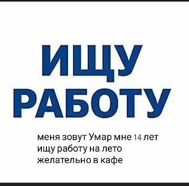 шым тигем: Официант. Тажрыйбасыз — 1