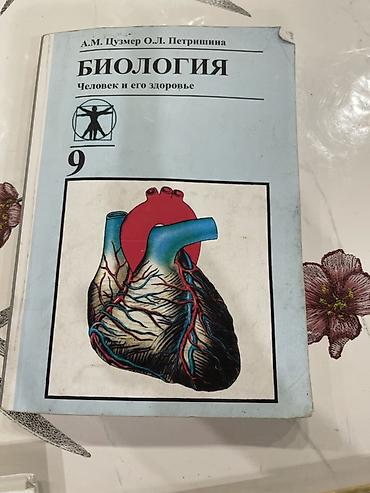 Учебники: Комплект школьных учебников: 1) Информатика 5–6. Издательство ARCUS — 8
