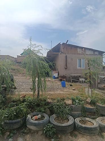 Недвижимость: Жилой дом с приусадебным участком - Одноэтажный дом с мансардной — 4