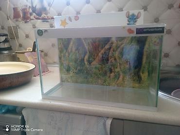 Akvariumlar: Şüşə akvarium Mənzərəli fonu var qiymət sondur - Şəffaf şüşədən — 14