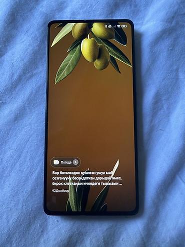 fold 1: Xiaomi, 14 Pro, Б/у, 256 ГБ, цвет - Черный, 2 SIM — 3