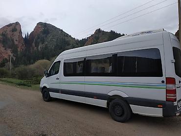 rex sprinter: Заказать Бус — 4
